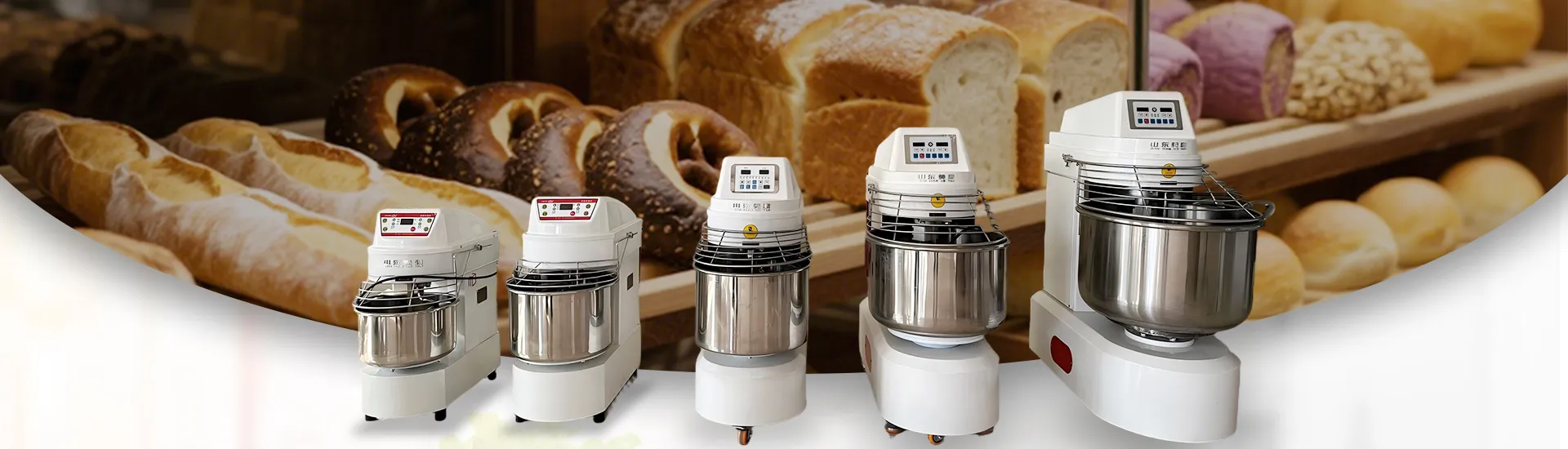 Vegetable & Meat Processing Equipment