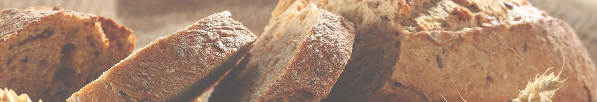 Your Trusted Partner for Food Processing Equipment