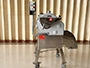 Vegetable Dicing Machine (300-800kg/h)