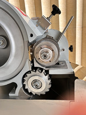 Vegetable Dicing Machine (300-800kg/h)