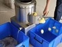 Potato Peeling Machine