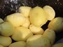 Potato Peeling Machine