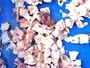 Frozen Meat Dicing Machine (Bone-in Meat)