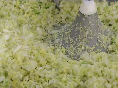 Vegetable Mincing Results