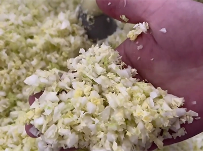 Vegetable Mincing Results