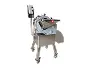 Vegetable Dicing Machine (300-800kg/h)